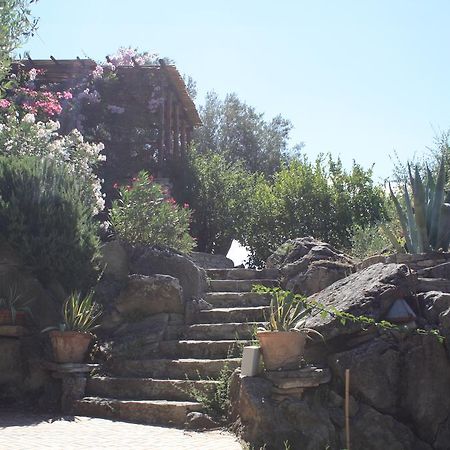 Rocca Del Vento Bed & Breakfast San Pantaleone Ngoại thất bức ảnh
