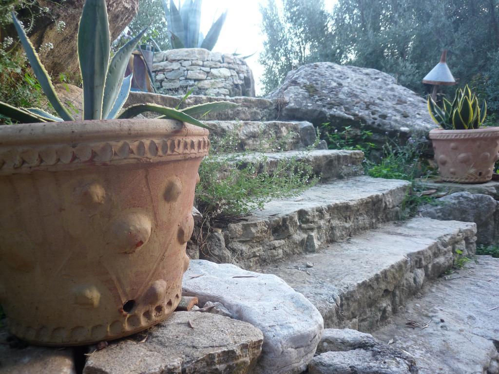 Rocca Del Vento Bed & Breakfast San Pantaleone Ngoại thất bức ảnh
