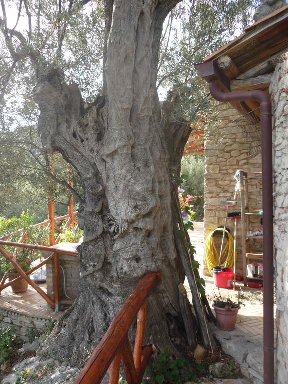 Rocca Del Vento Bed & Breakfast San Pantaleone Ngoại thất bức ảnh