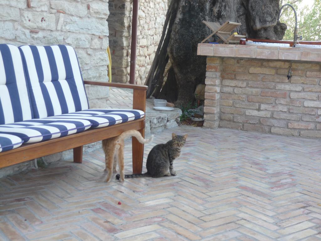Rocca Del Vento Bed & Breakfast San Pantaleone Ngoại thất bức ảnh