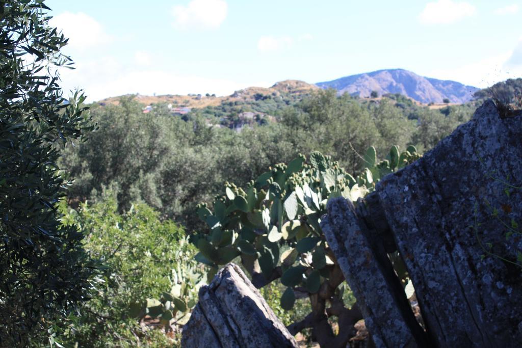 Rocca Del Vento Bed & Breakfast San Pantaleone Ngoại thất bức ảnh